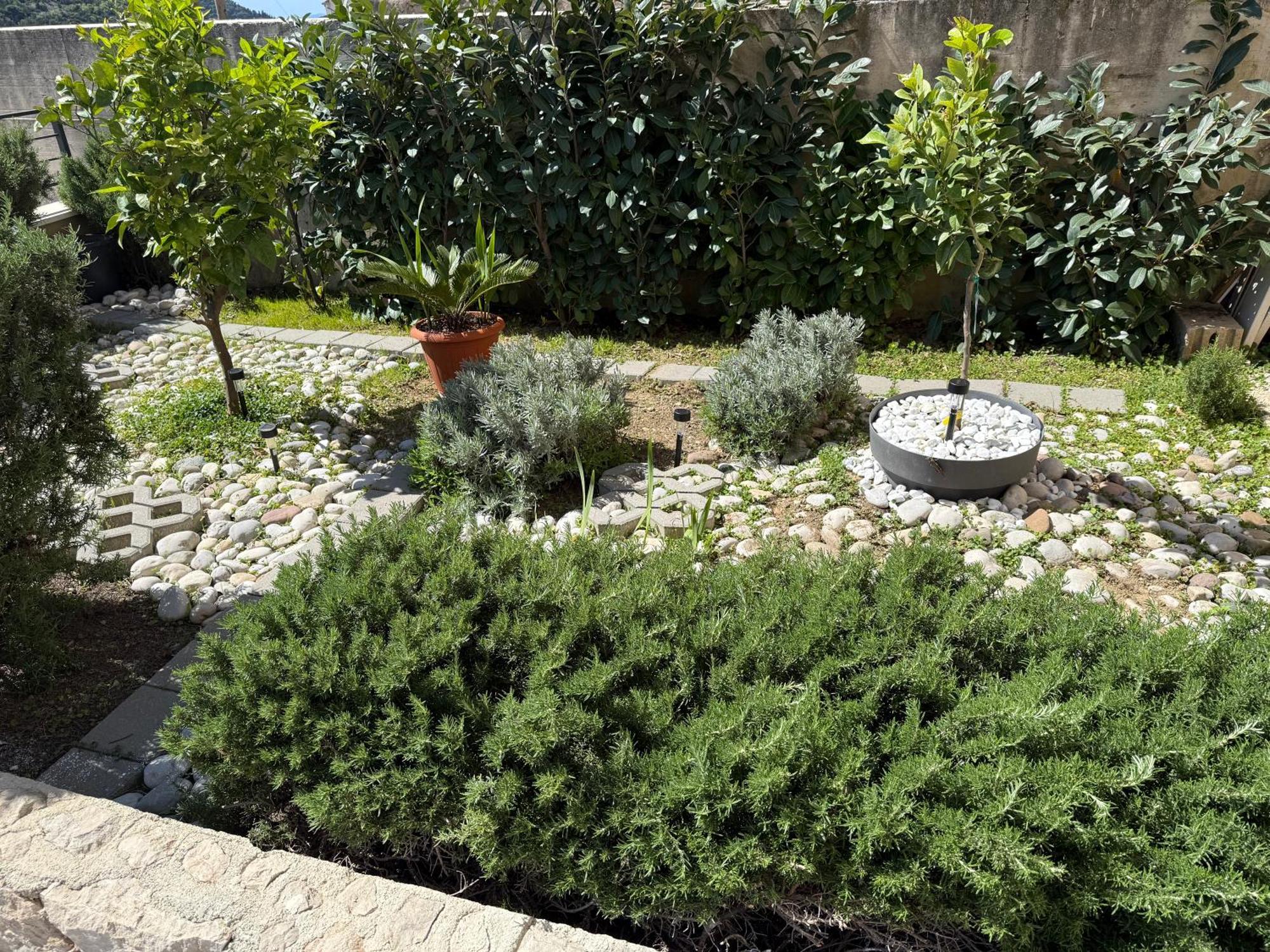 Lemon Tree Dubrovnik Apartments Εξωτερικό φωτογραφία