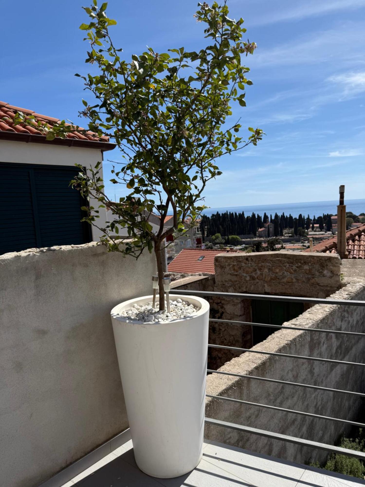 Lemon Tree Dubrovnik Apartments Εξωτερικό φωτογραφία